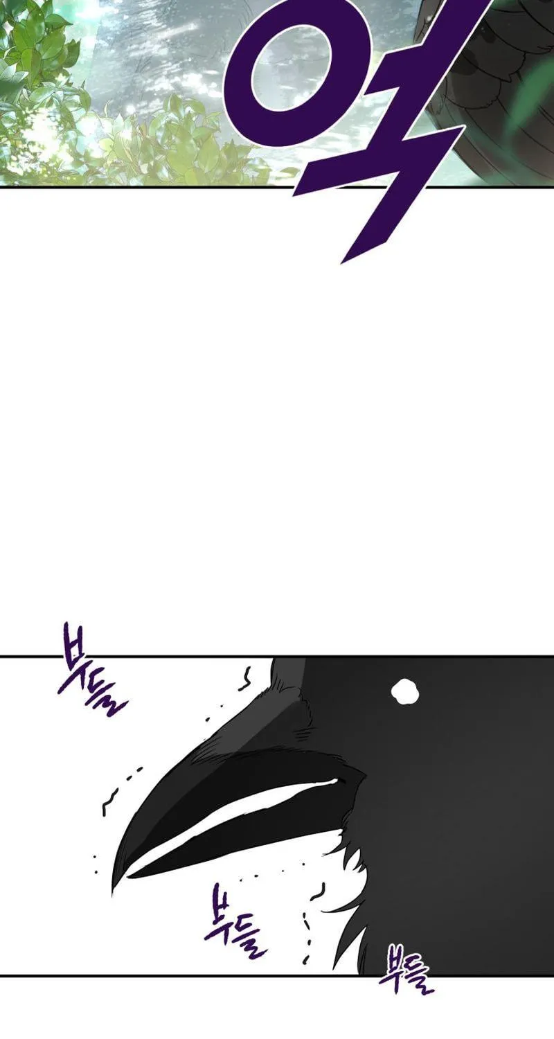 Read The Crow