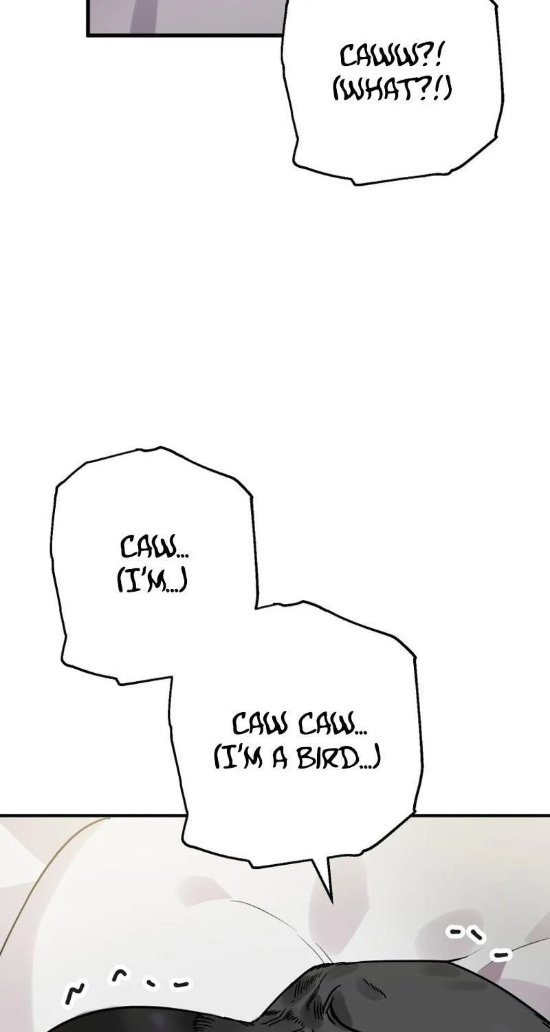 Read The Crow