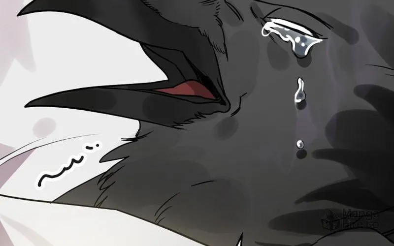 Read The Crow