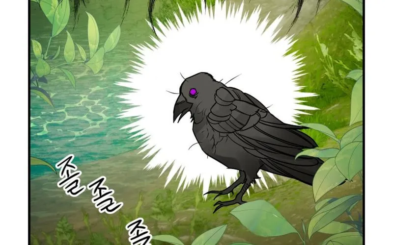 Read The Crow