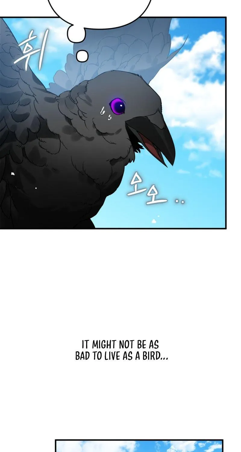 Read The Crow