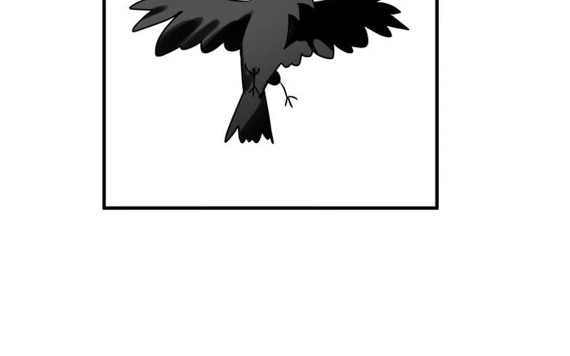 Read The Crow