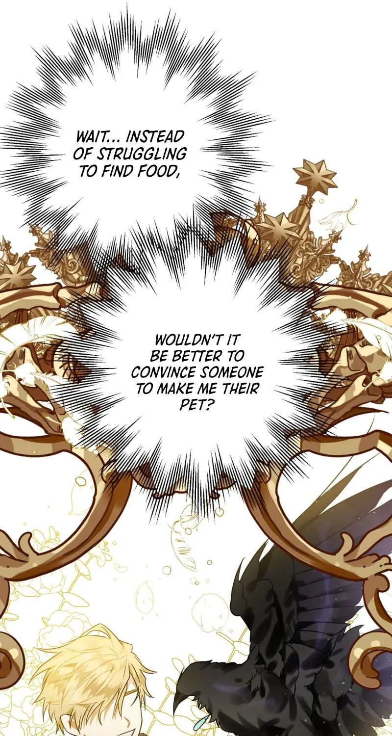 Read The Crow