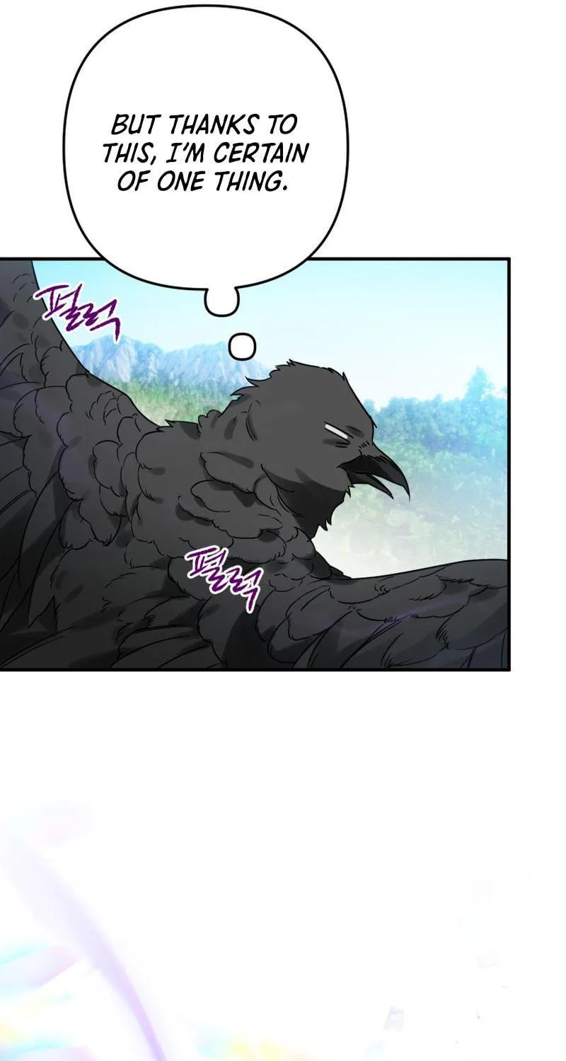 Read The Crow