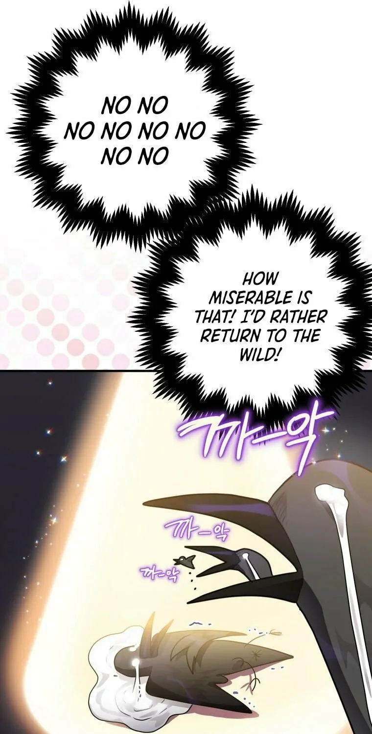 Read The Crow