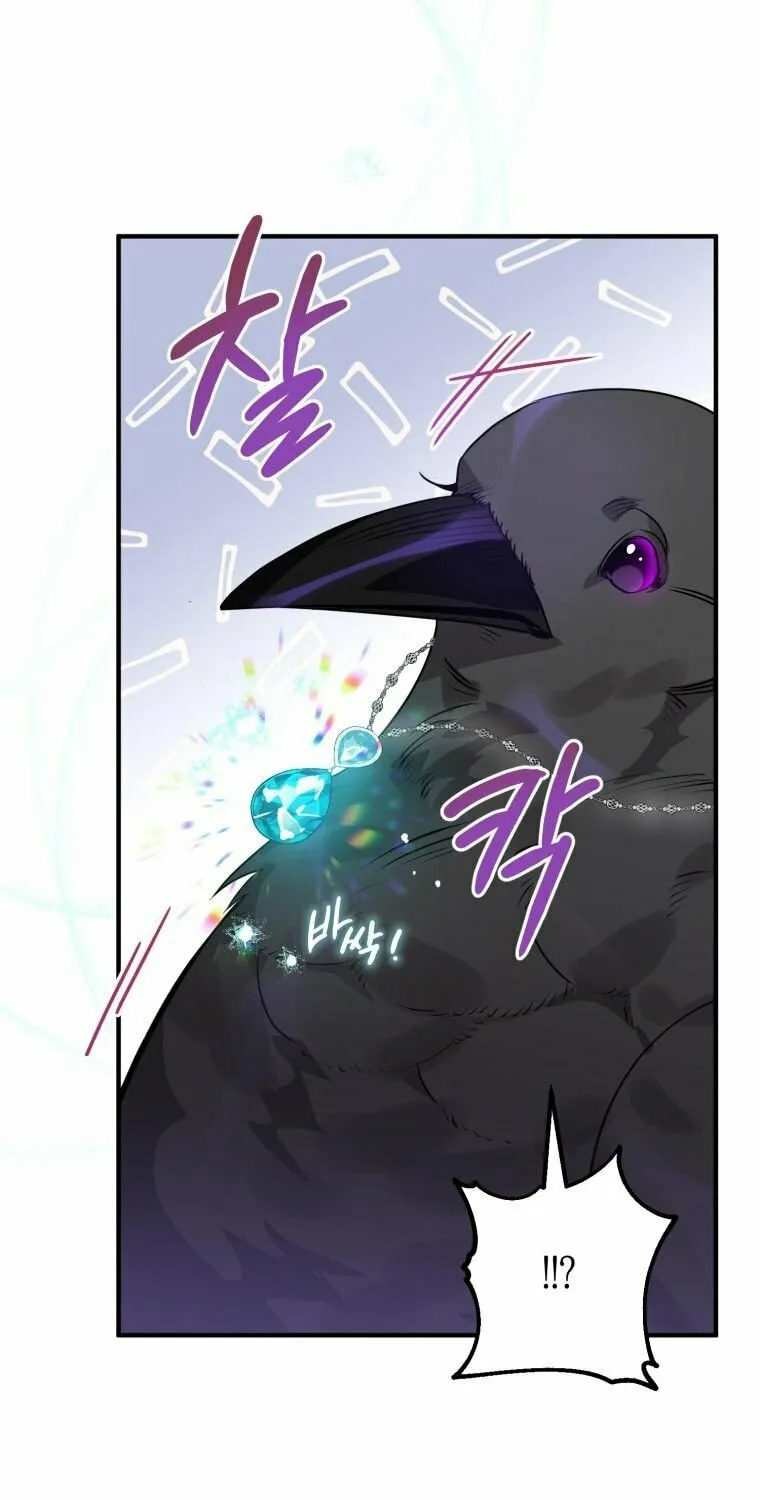 Read The Crow