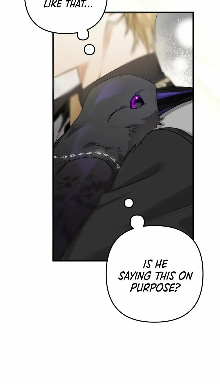 Read The Crow