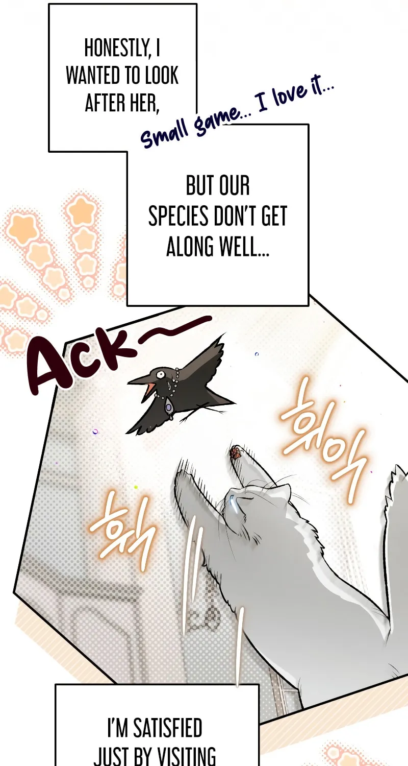 Read The Crow
