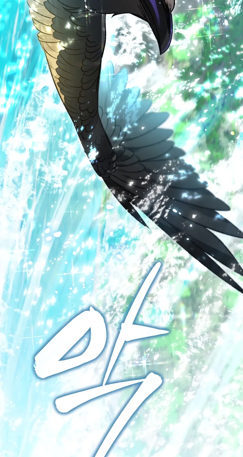 Read The Crow