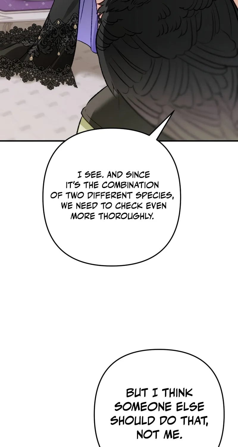 Read The Crow