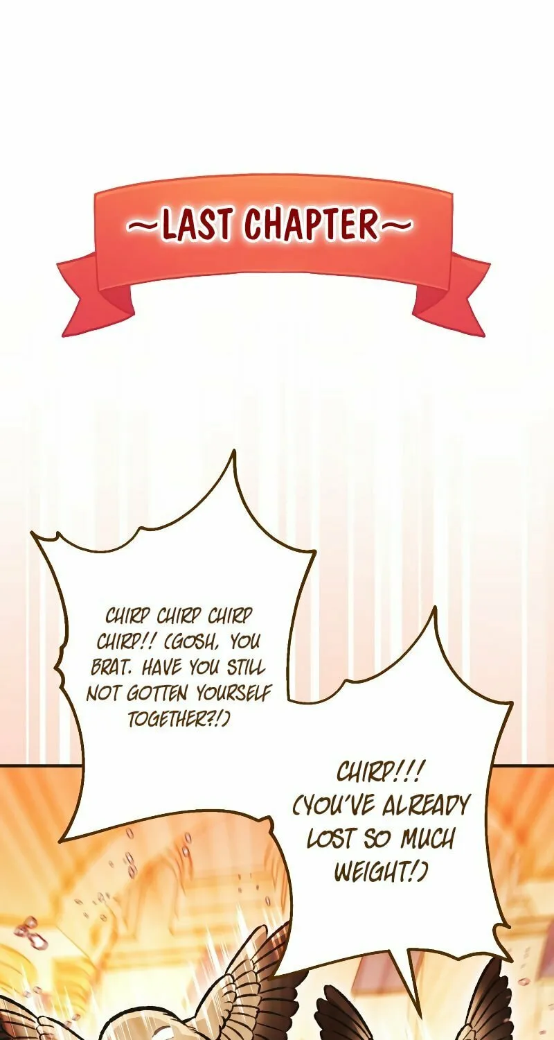Read The Crow