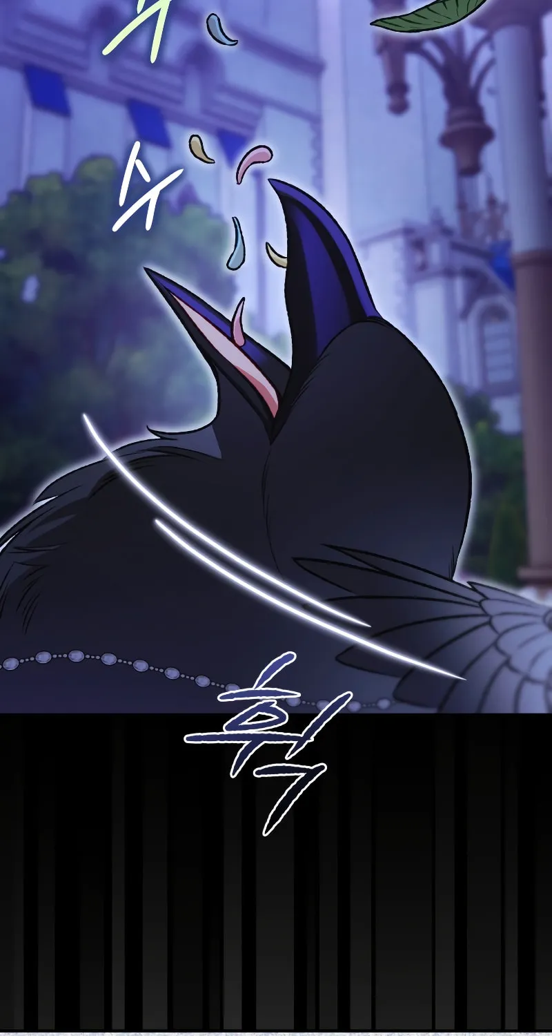 Read The Crow