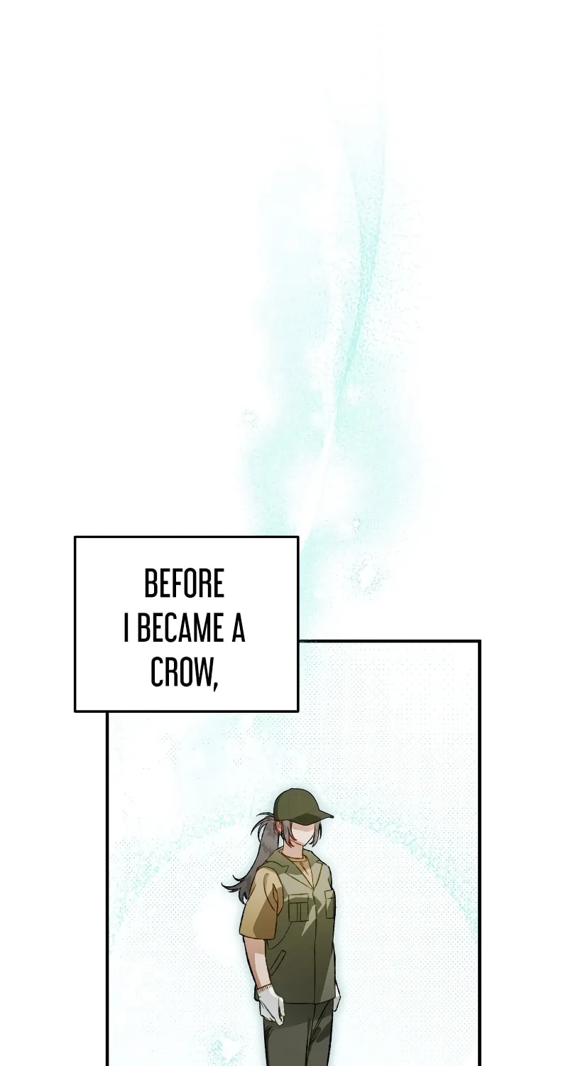 Read The Crow