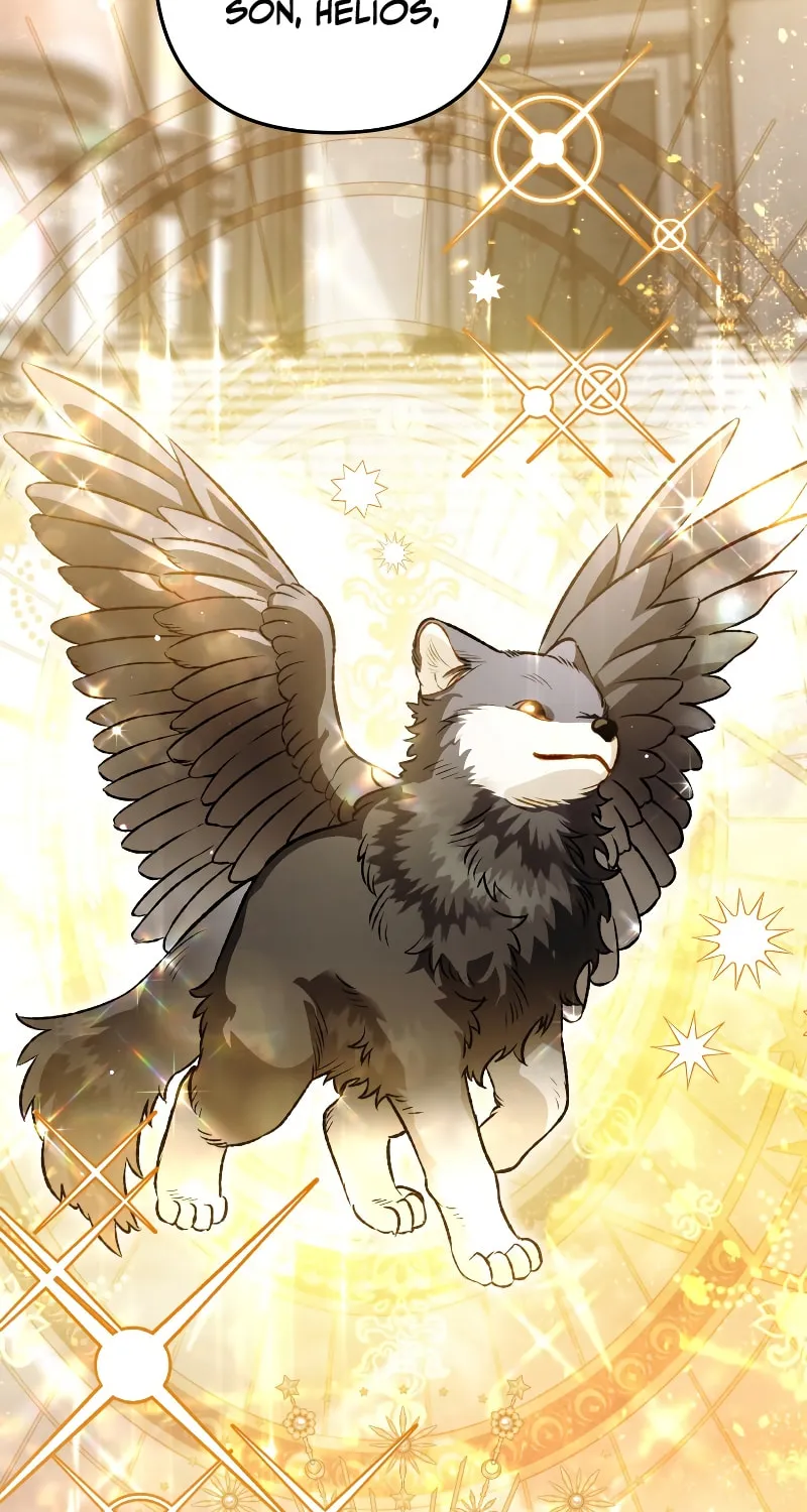 Read The Crow