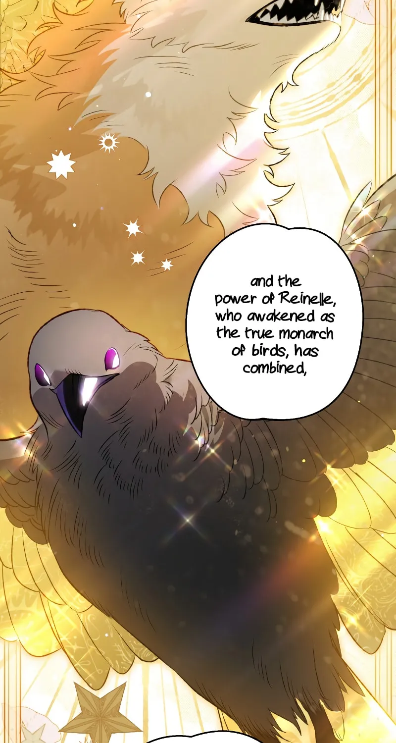 Read The Crow