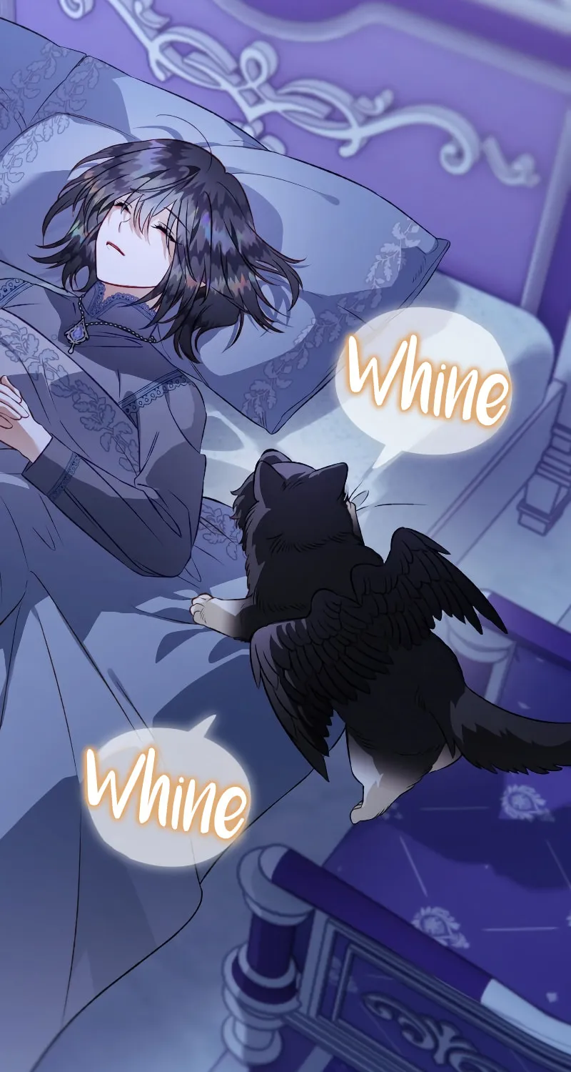 Read The Crow
