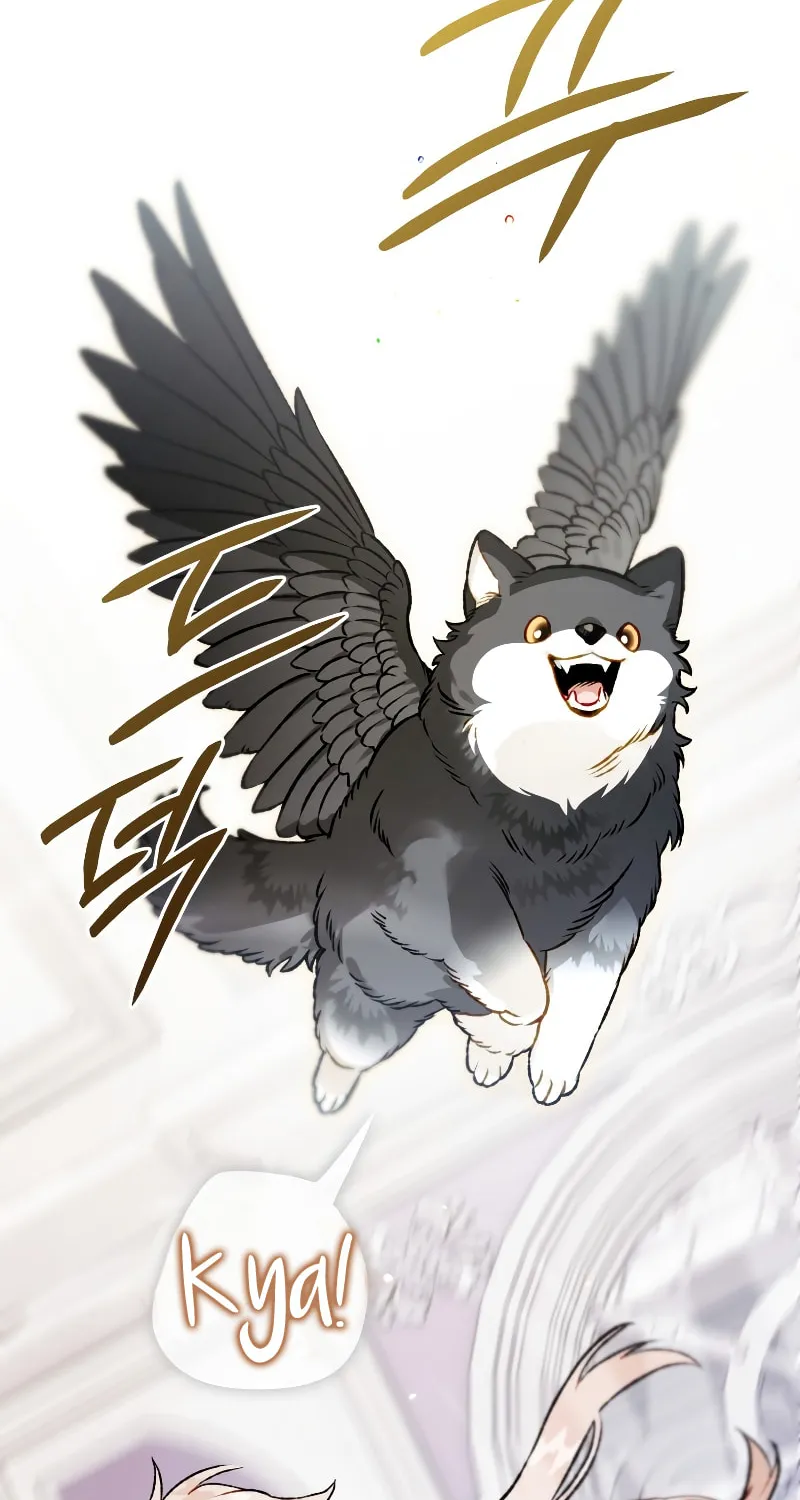 Read The Crow