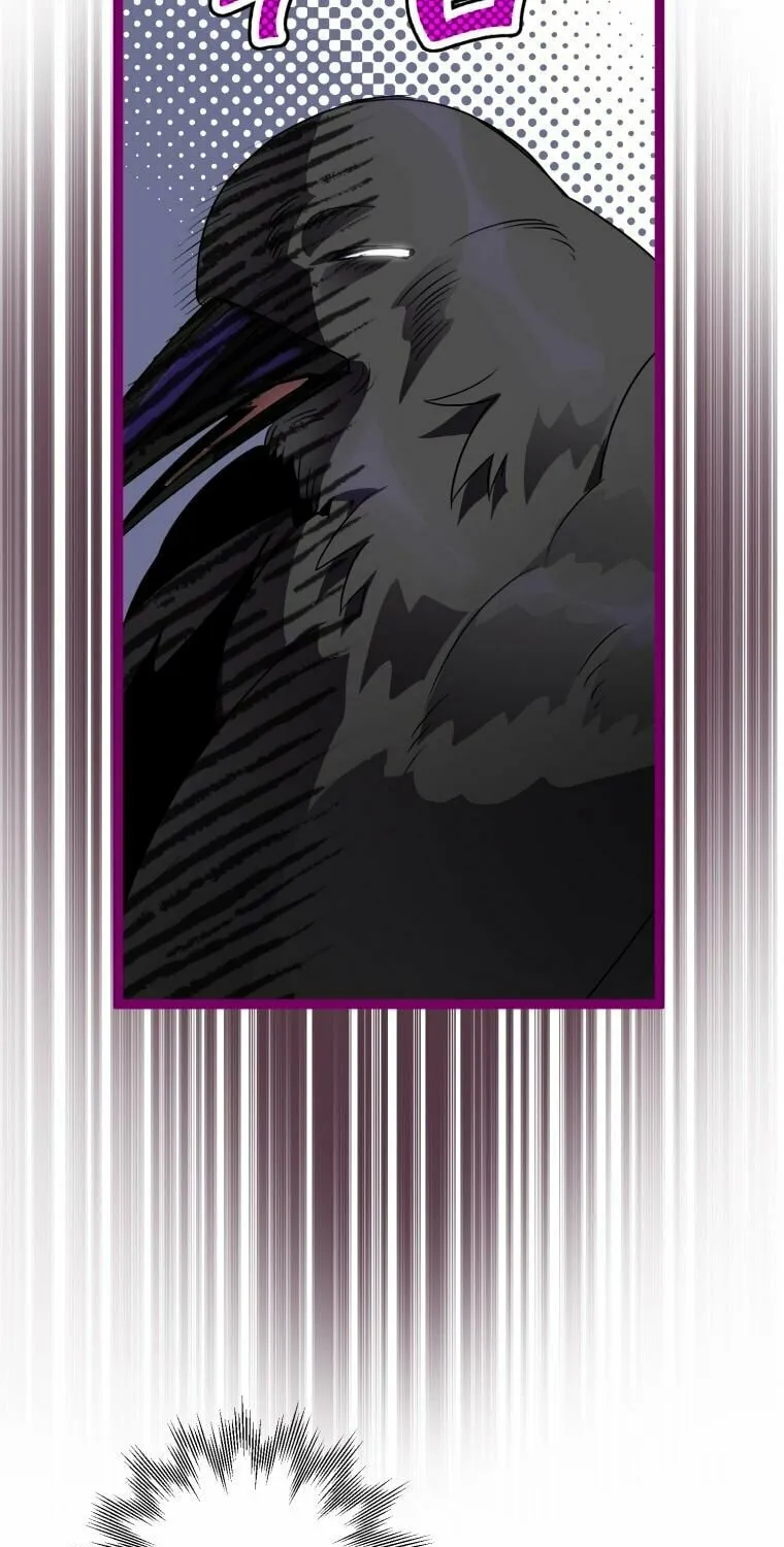 Read The Crow