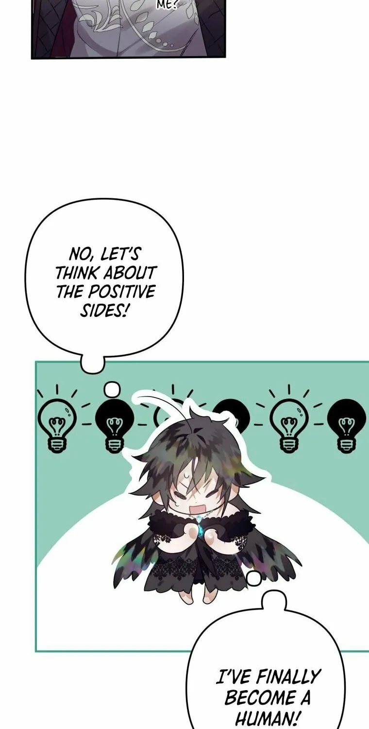 Read The Crow
