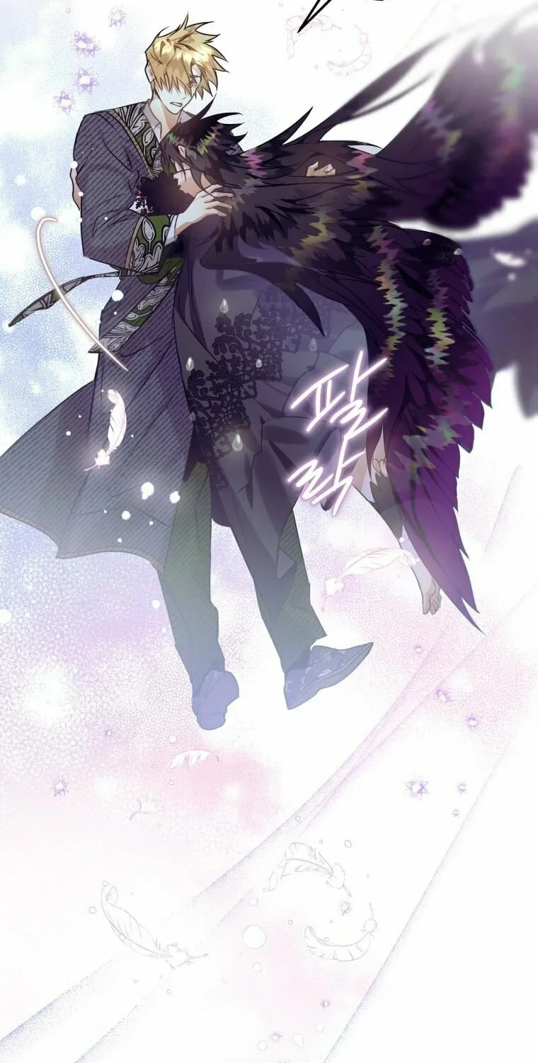 Read The Crow