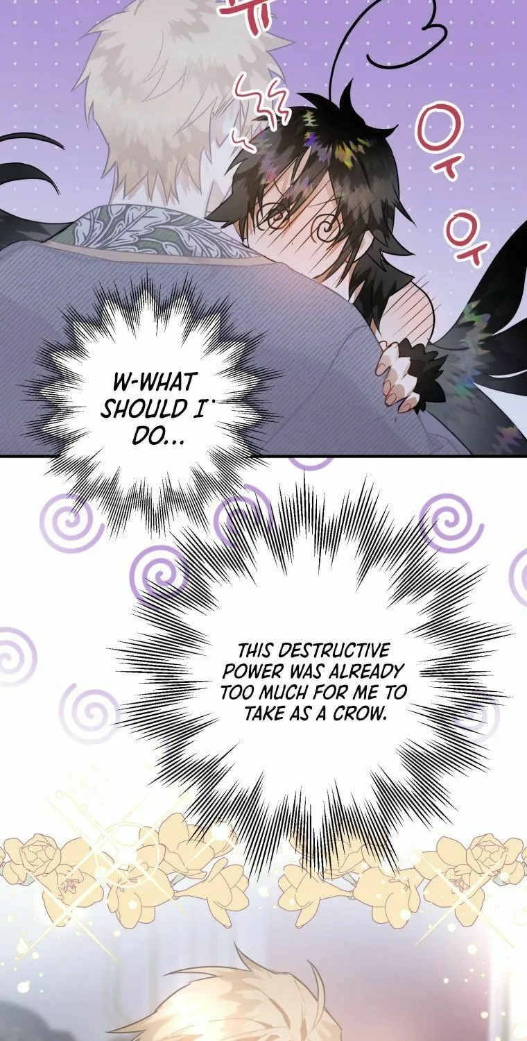 Read The Crow