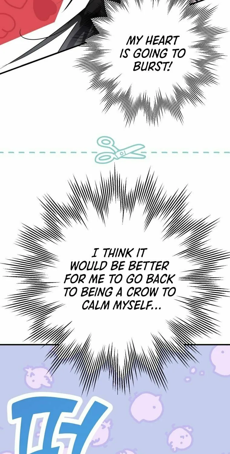 Read The Crow