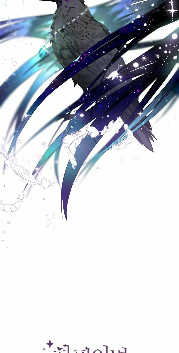 Read The Crow
