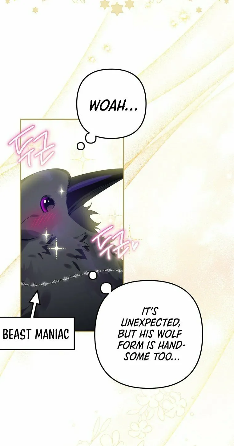 Read The Crow