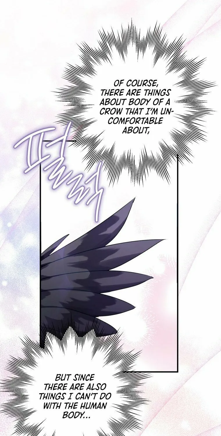 Read The Crow