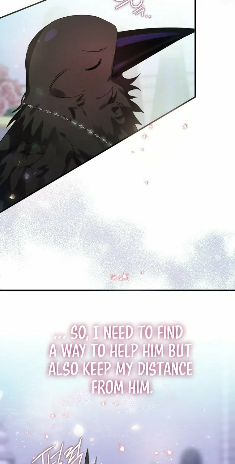 Read The Crow