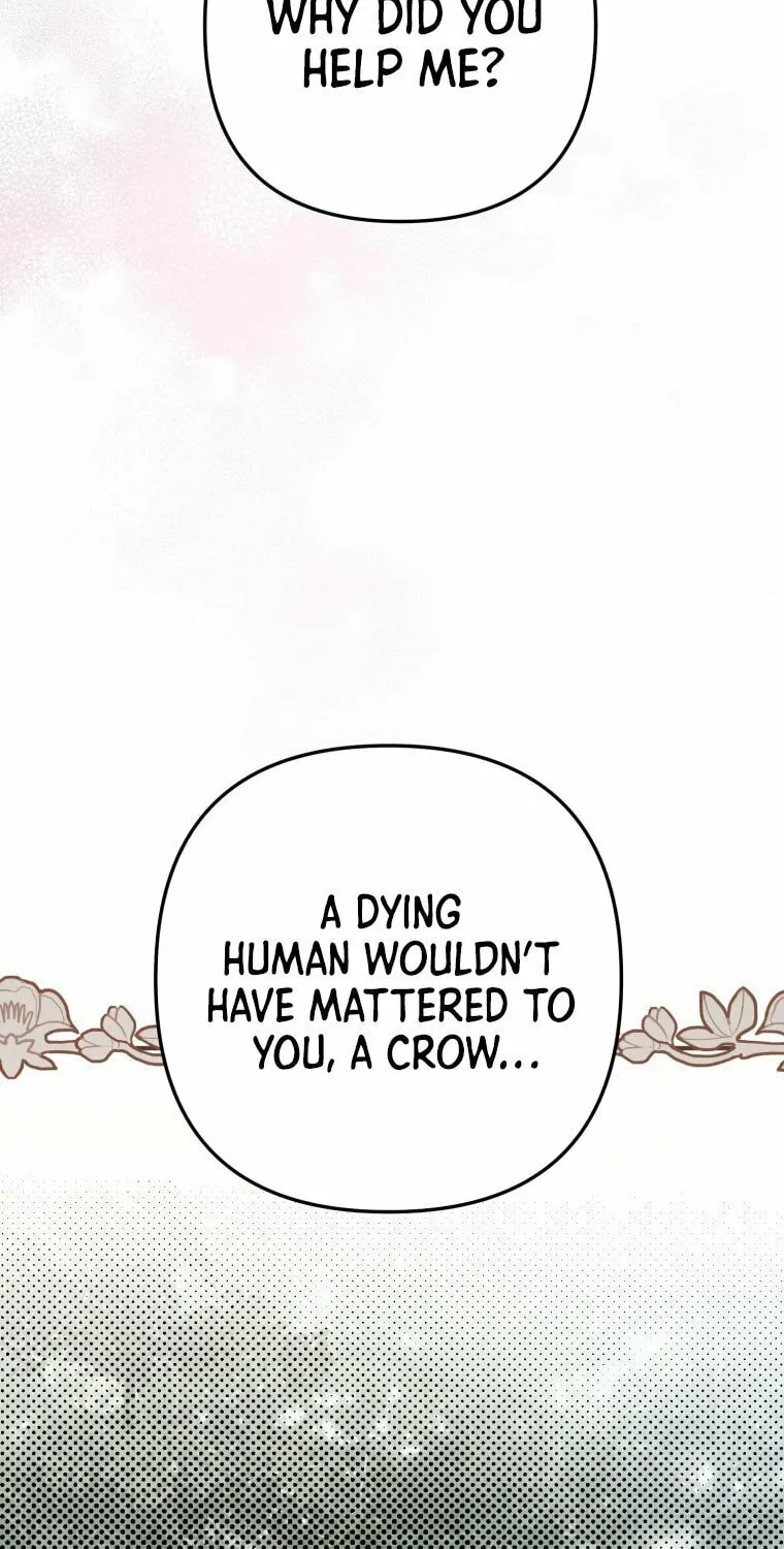 Read The Crow