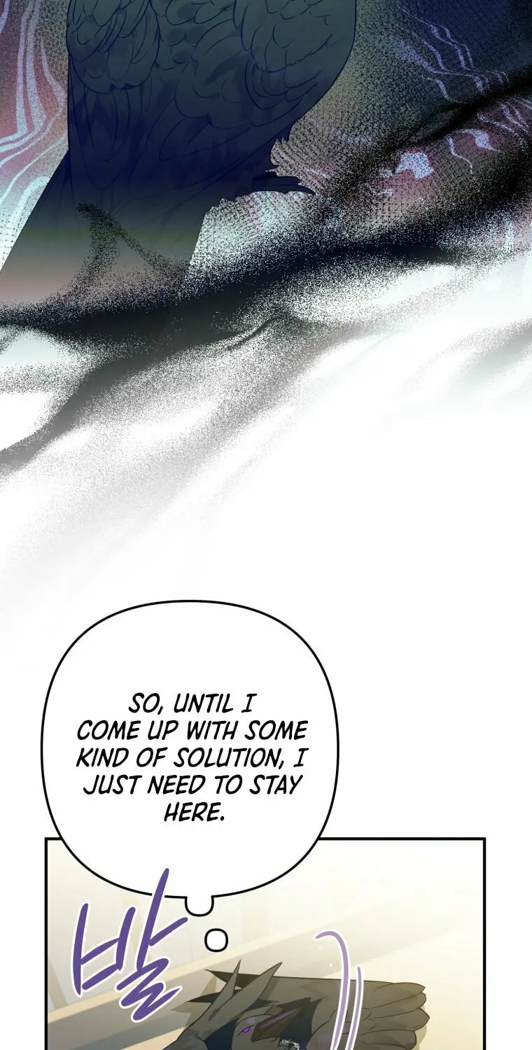 Read The Crow