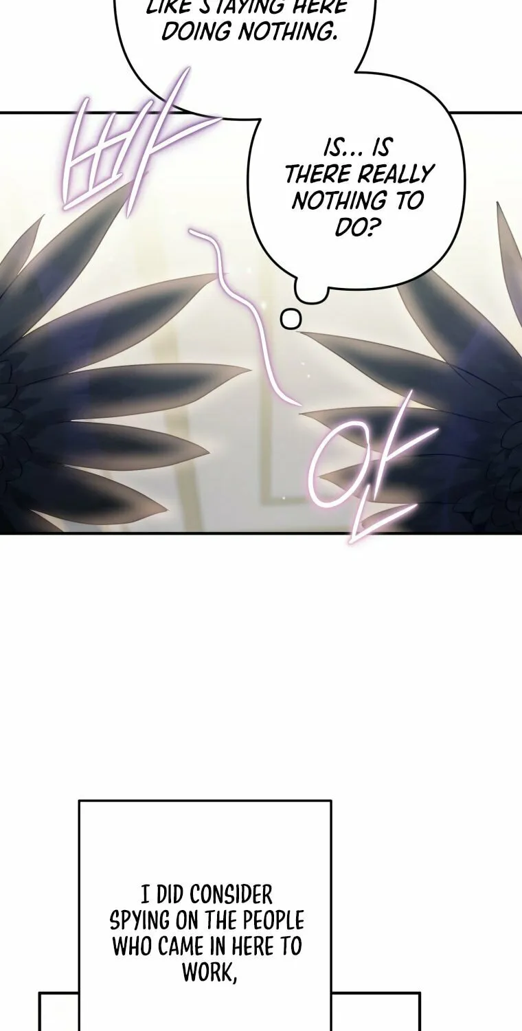 Read The Crow