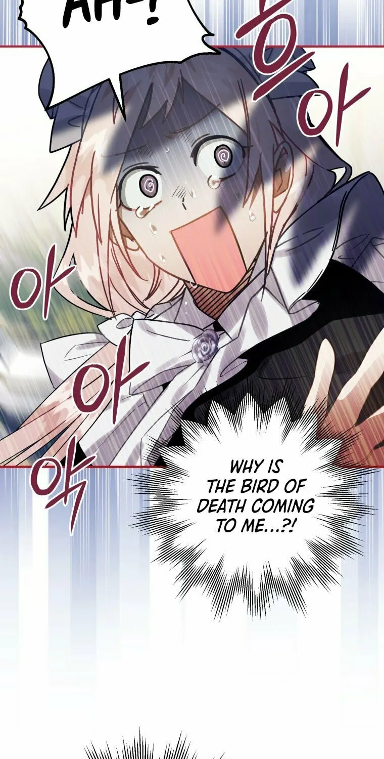 Read The Crow
