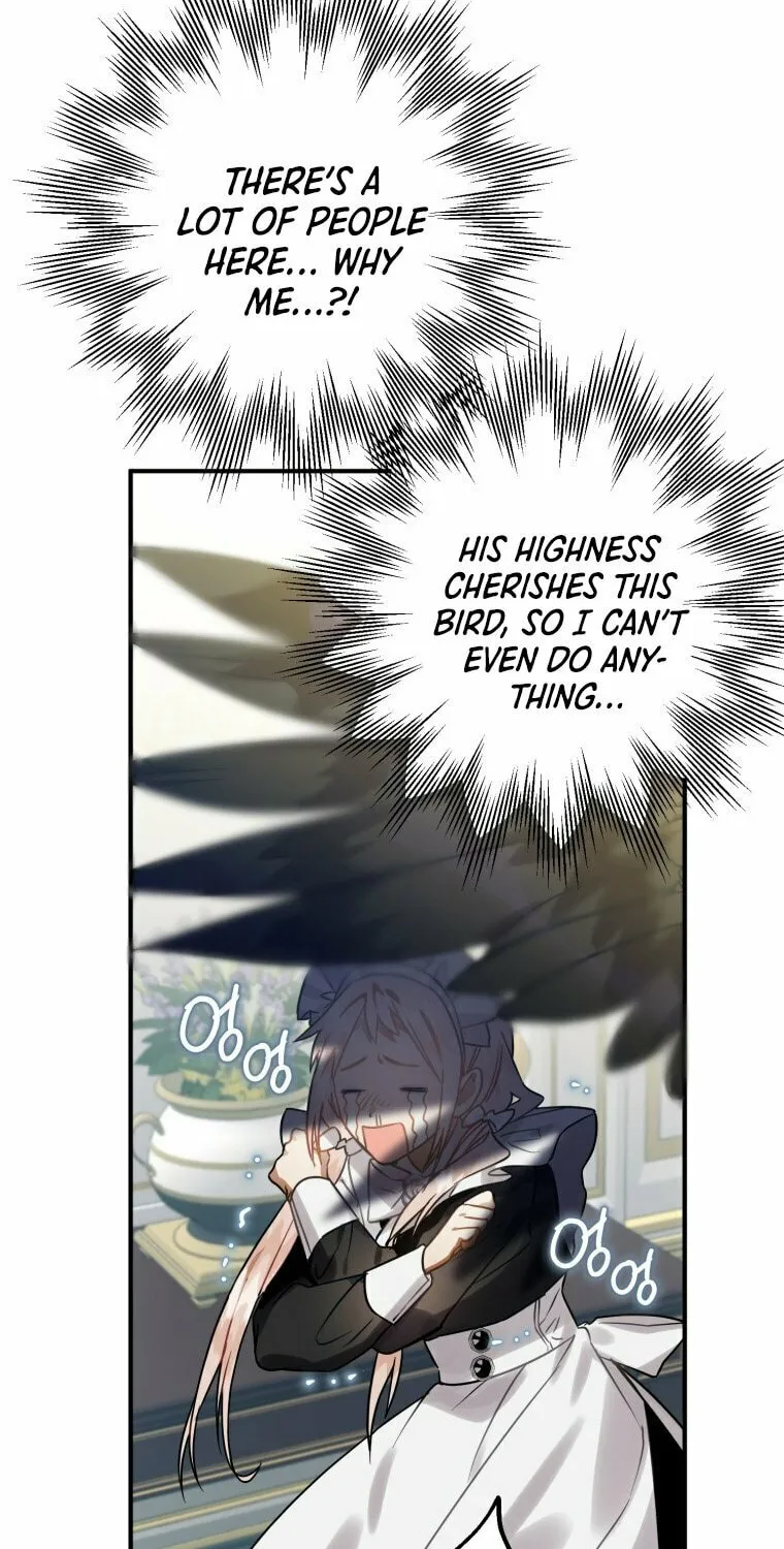 Read The Crow