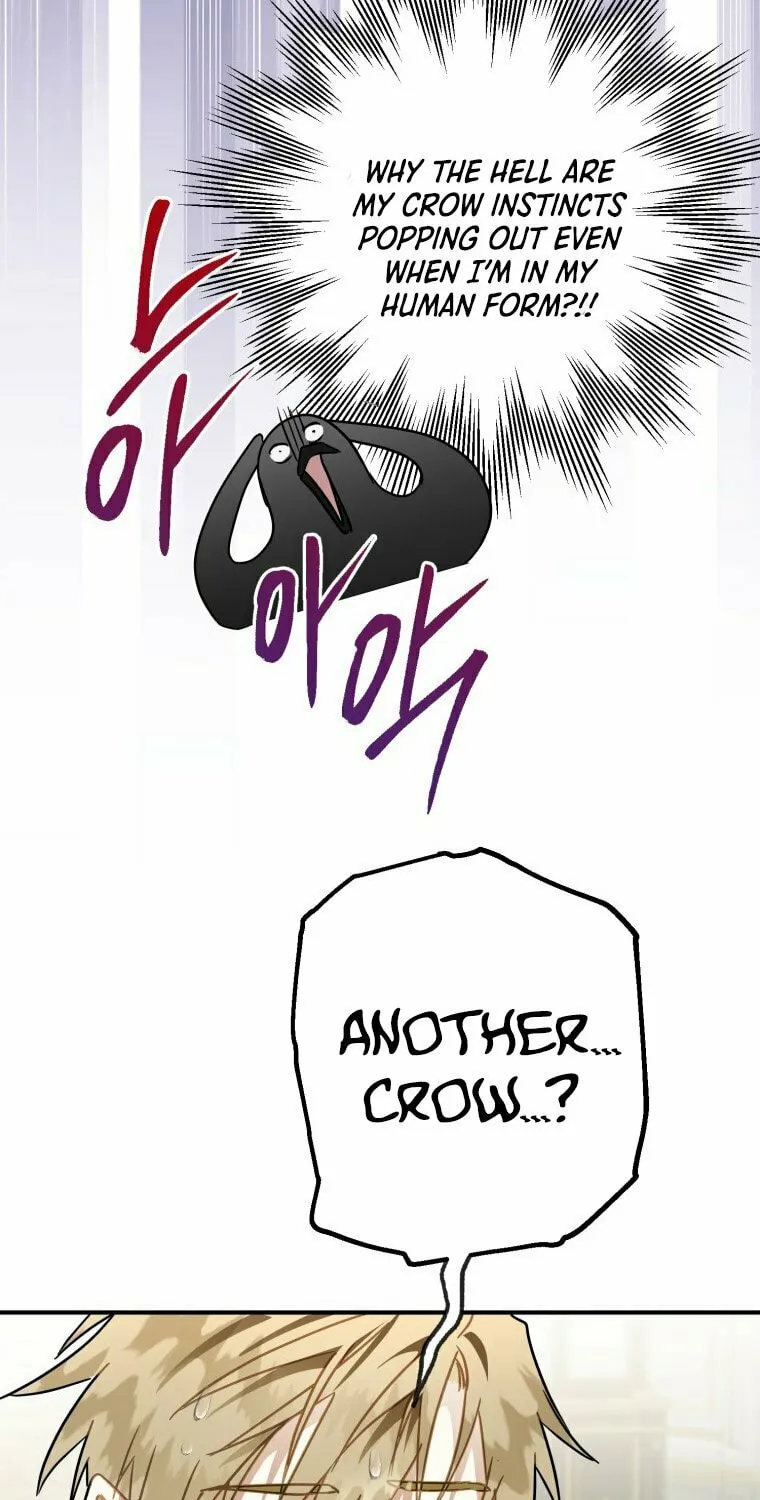 Read The Crow