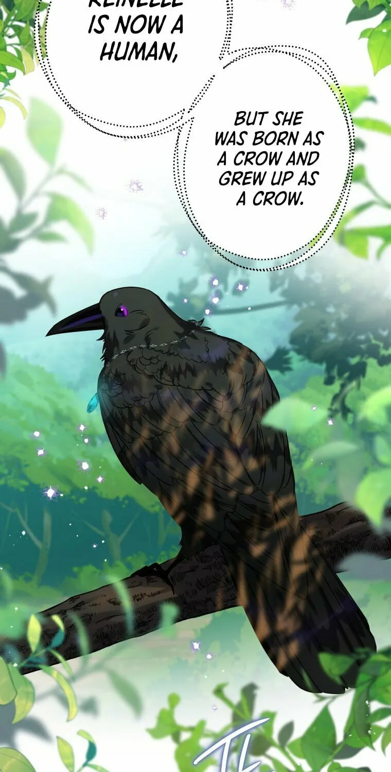 Read The Crow