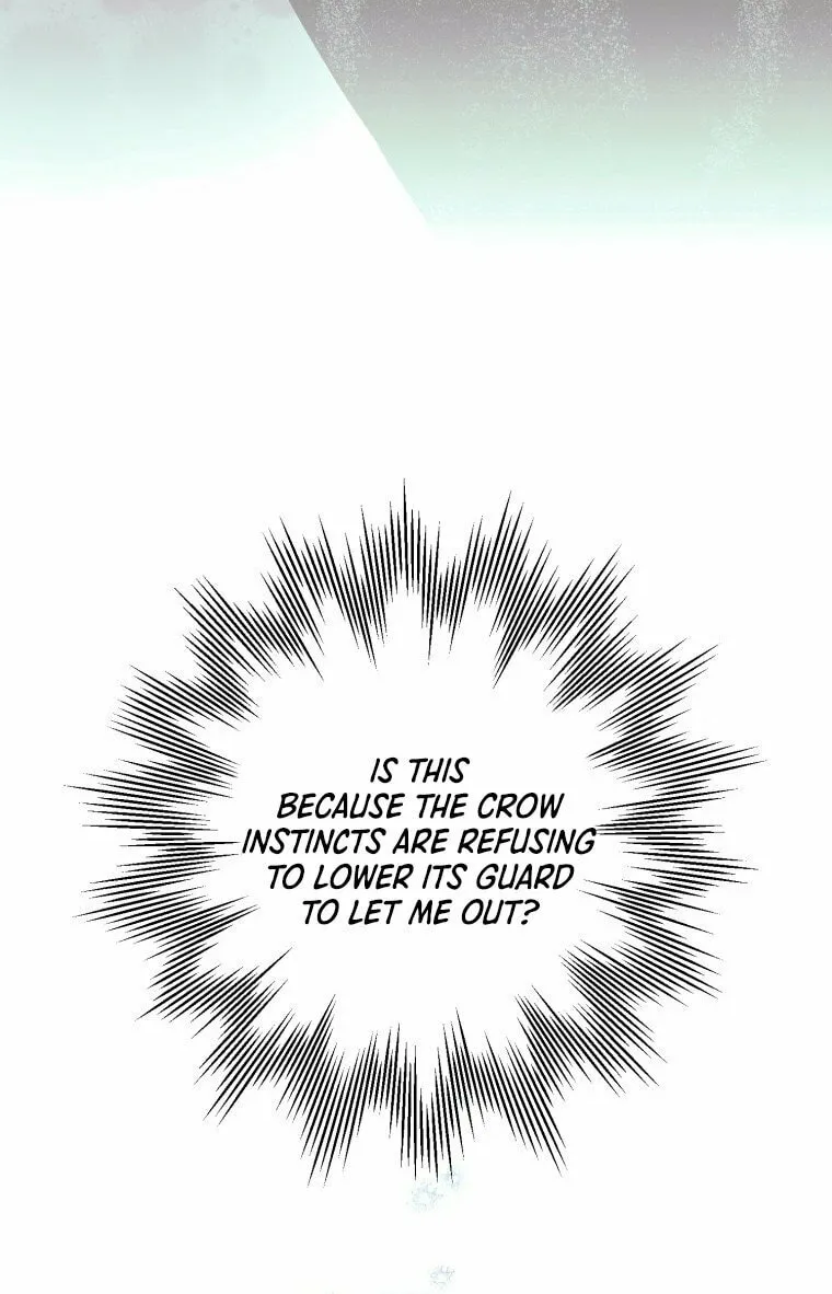 Read The Crow