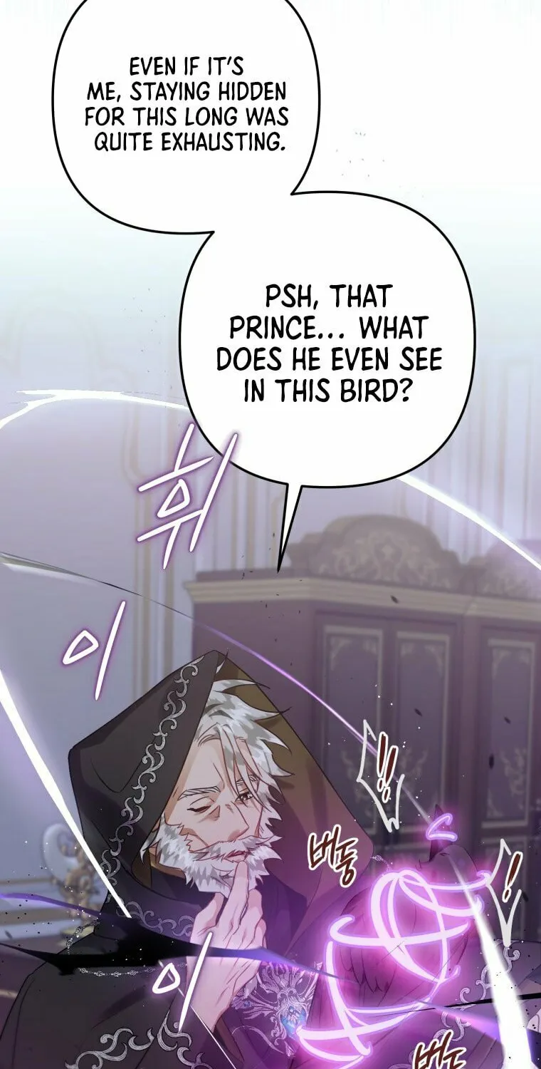 Read The Crow