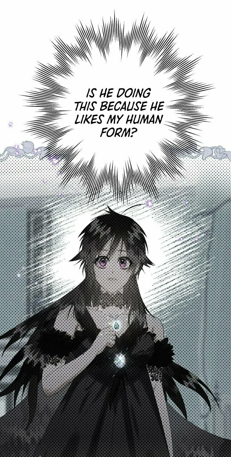 Read The Crow