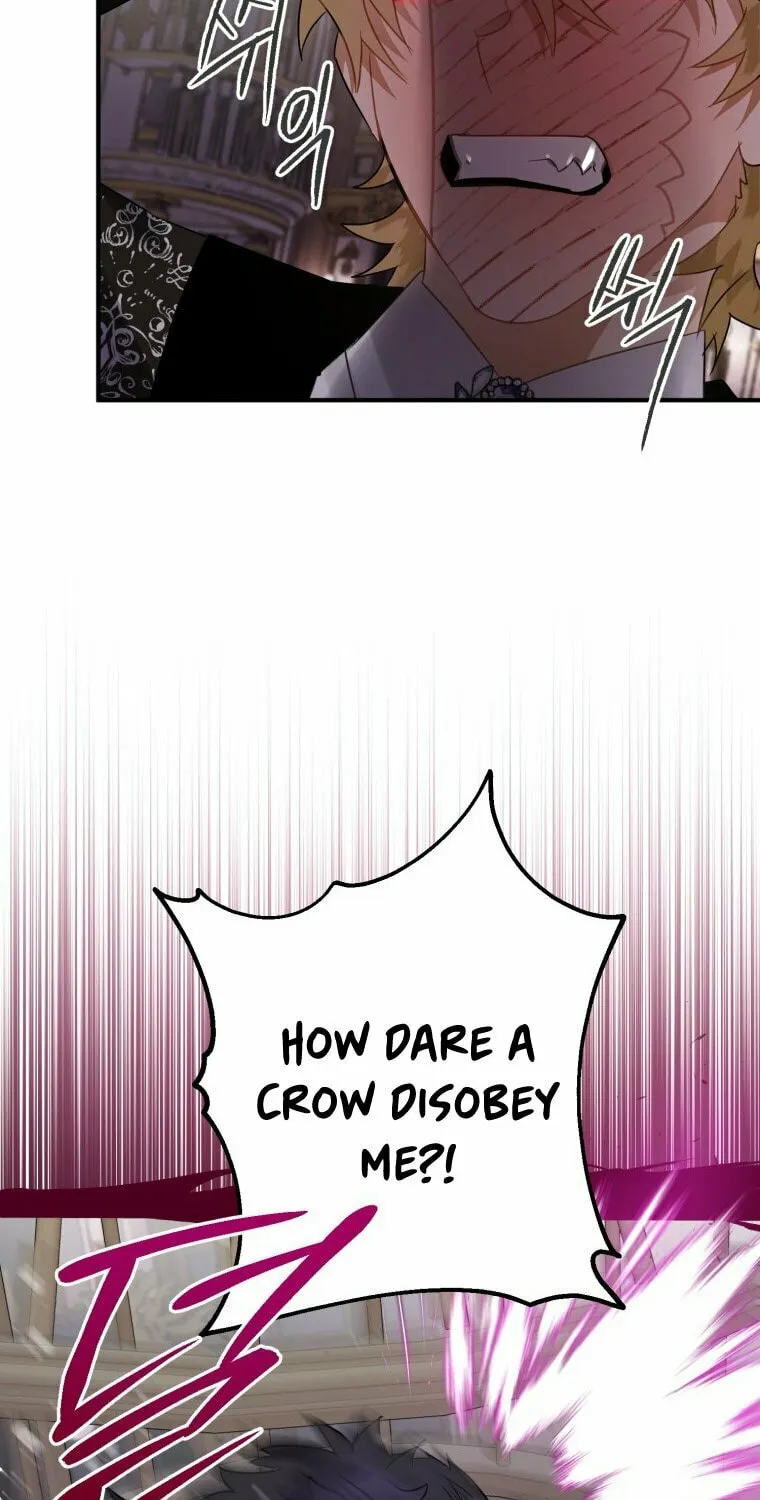 Read The Crow