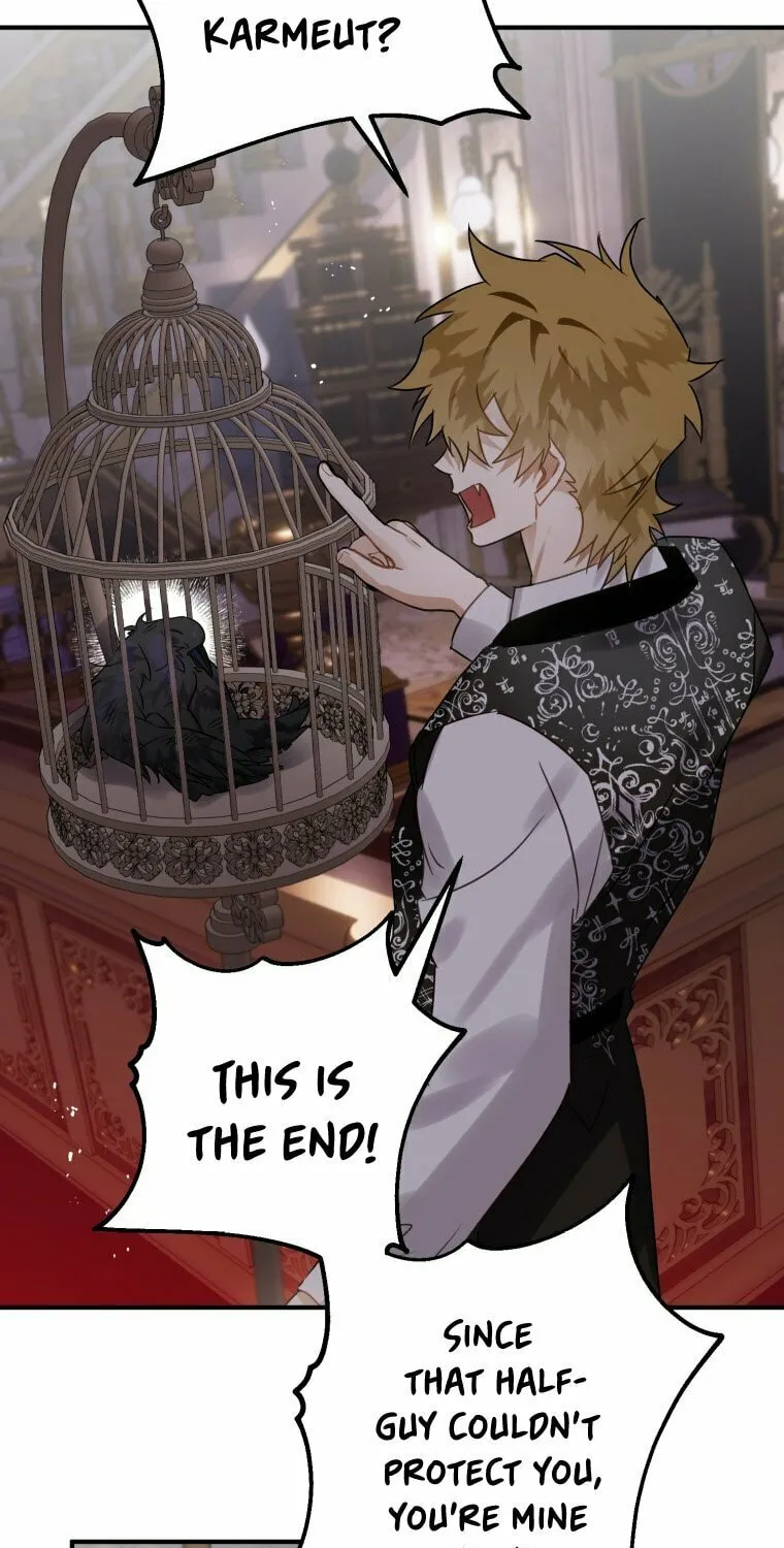 Read The Crow