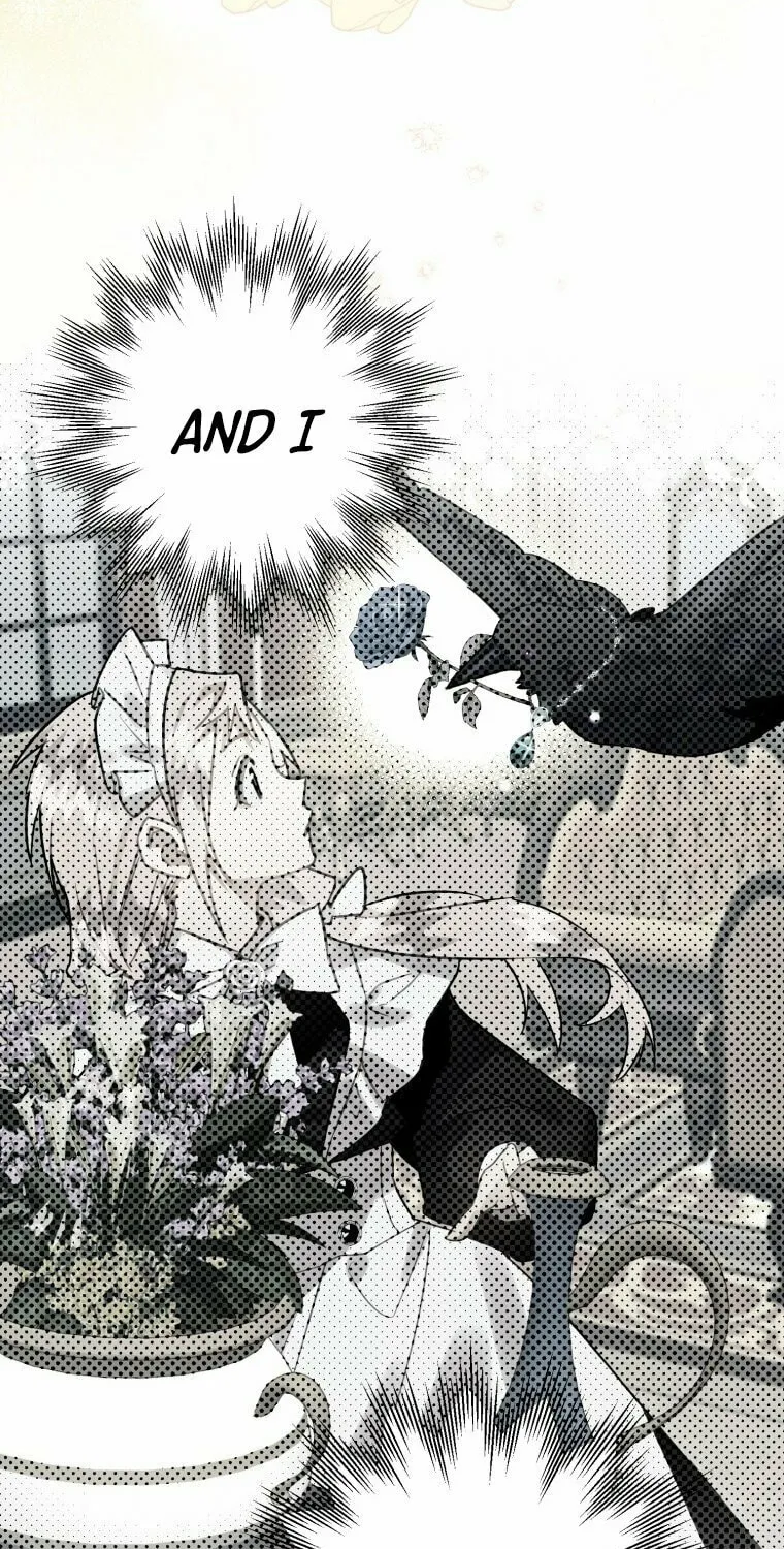 Read The Crow