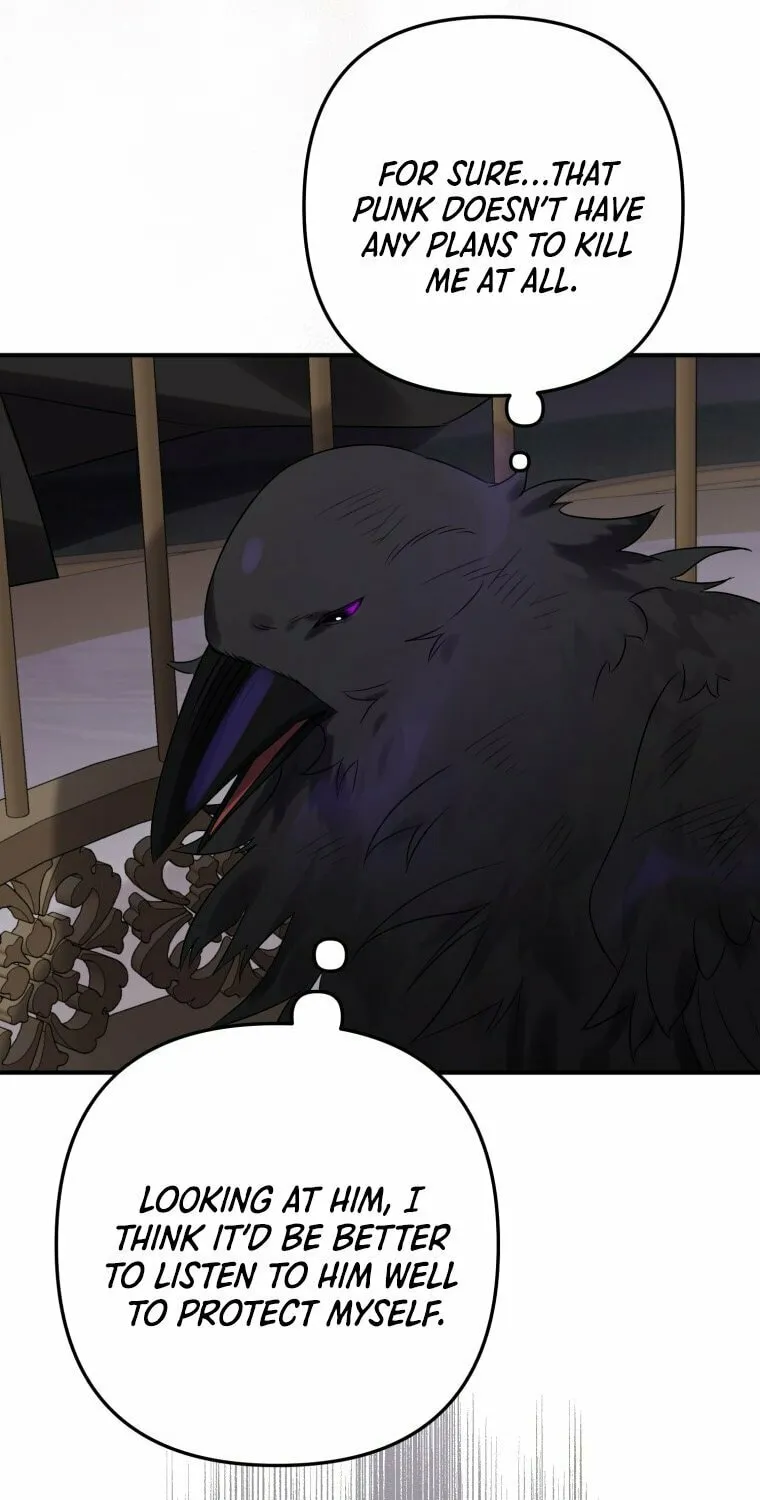Read The Crow