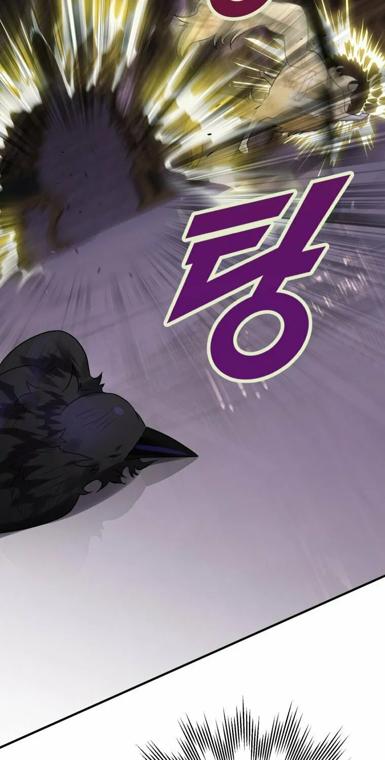 Read The Crow