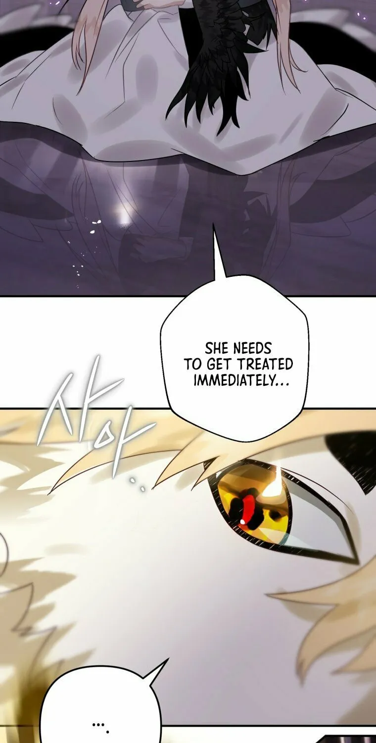 Read The Crow