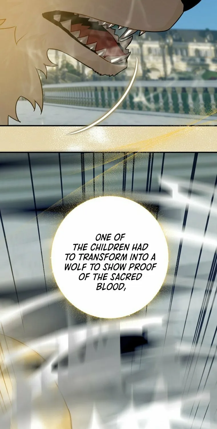 Read The Crow
