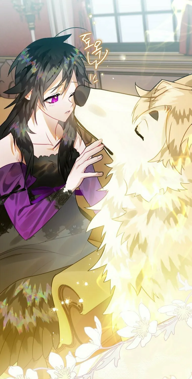 Read The Crow