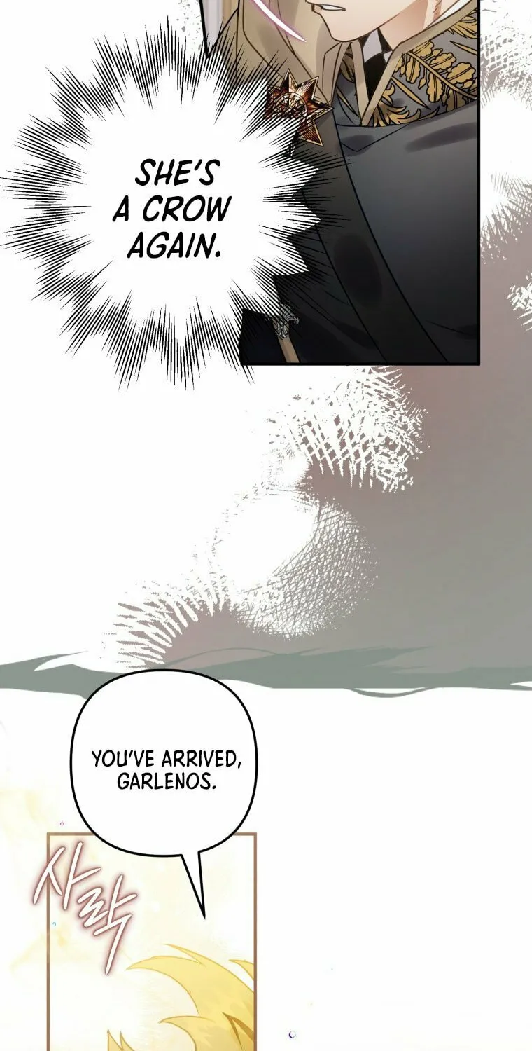 Read The Crow