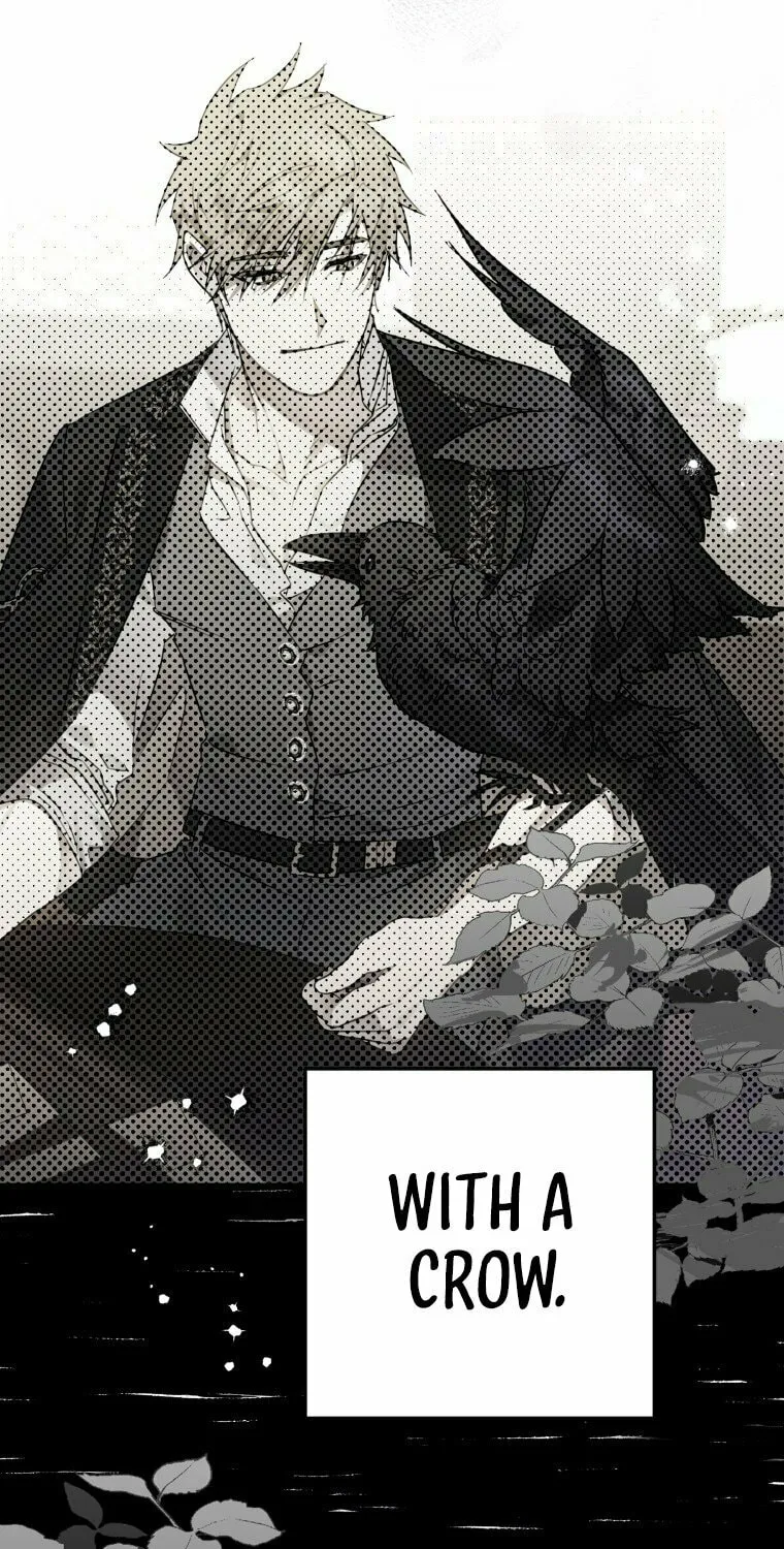 Read The Crow